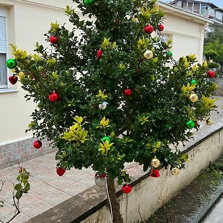 Petite Luxury Urban House