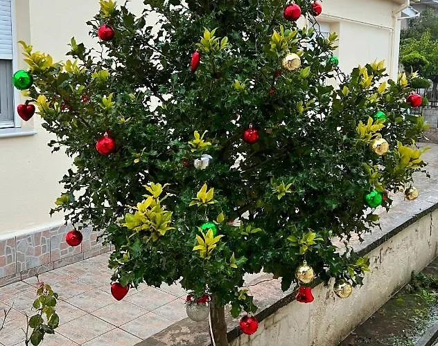 Petite Luxury Urban House